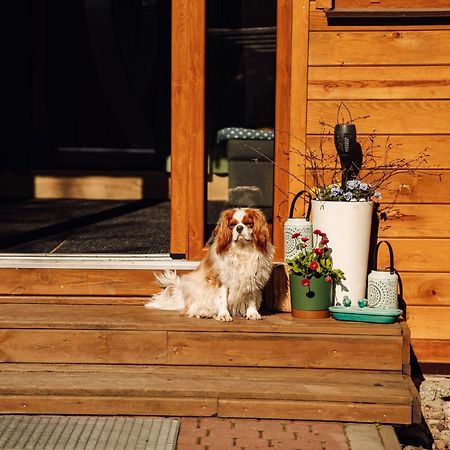 Wilkiejmy Wies Jeziorany エクステリア 写真